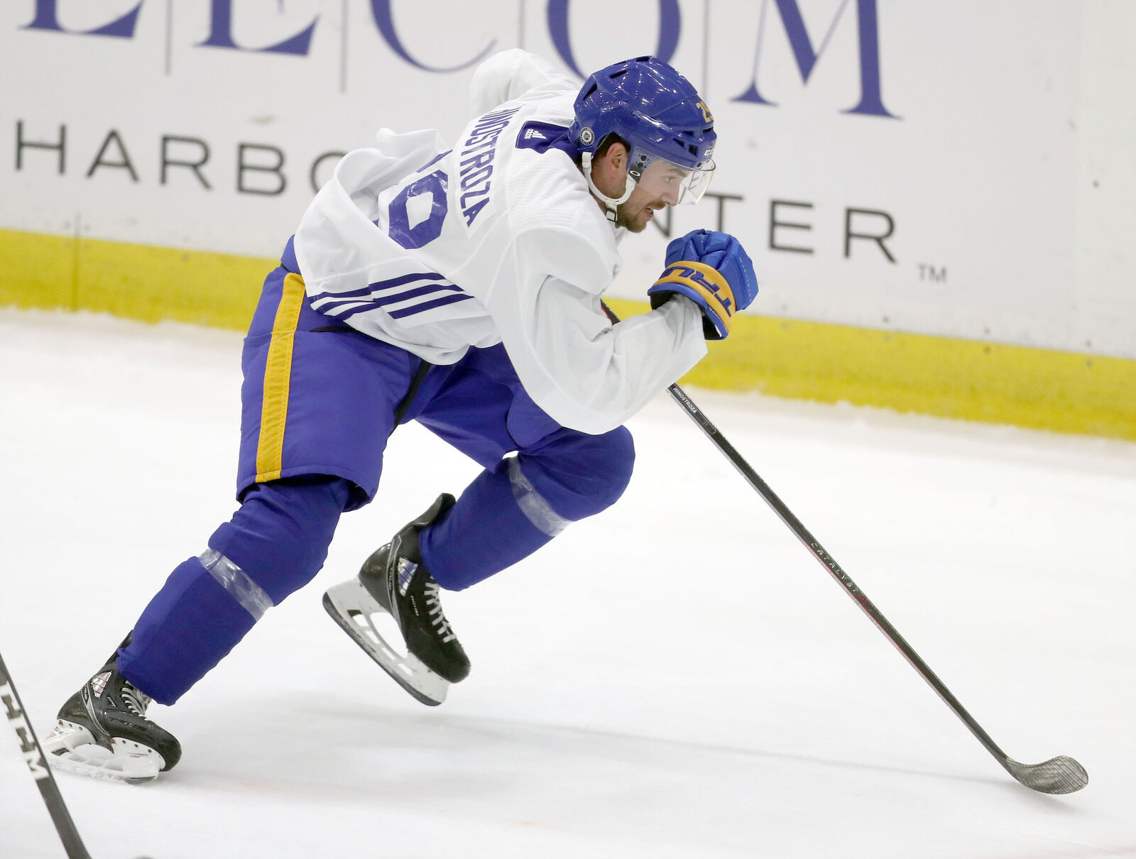 Vinnie Hinostroza